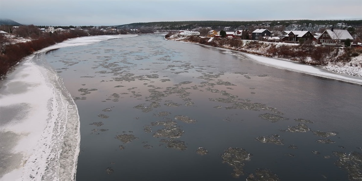 Anbefaler at det ikke åpnes for sjølaksefiske i Finnmark